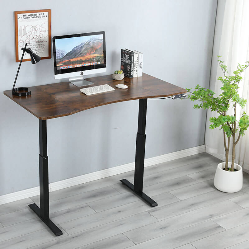 Deskohilo 55"x 30" Premium Dual Motor Standing Desk Electric Height Adjustable Office Tables for Work Benches, Brown, Oak,White